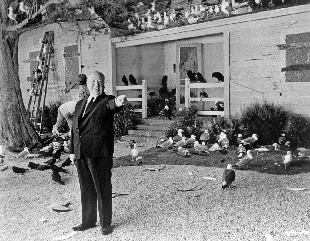 The Birds at 60&nbsp;(Video)